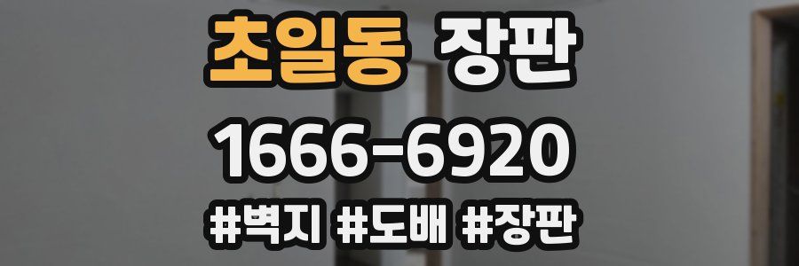 초일동 장판