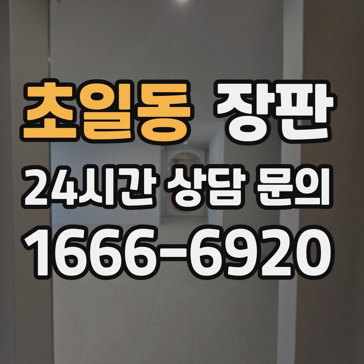 초일동 장판