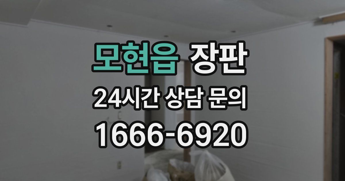 모현읍 장판