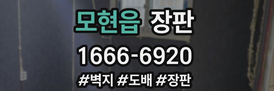 모현읍 장판
