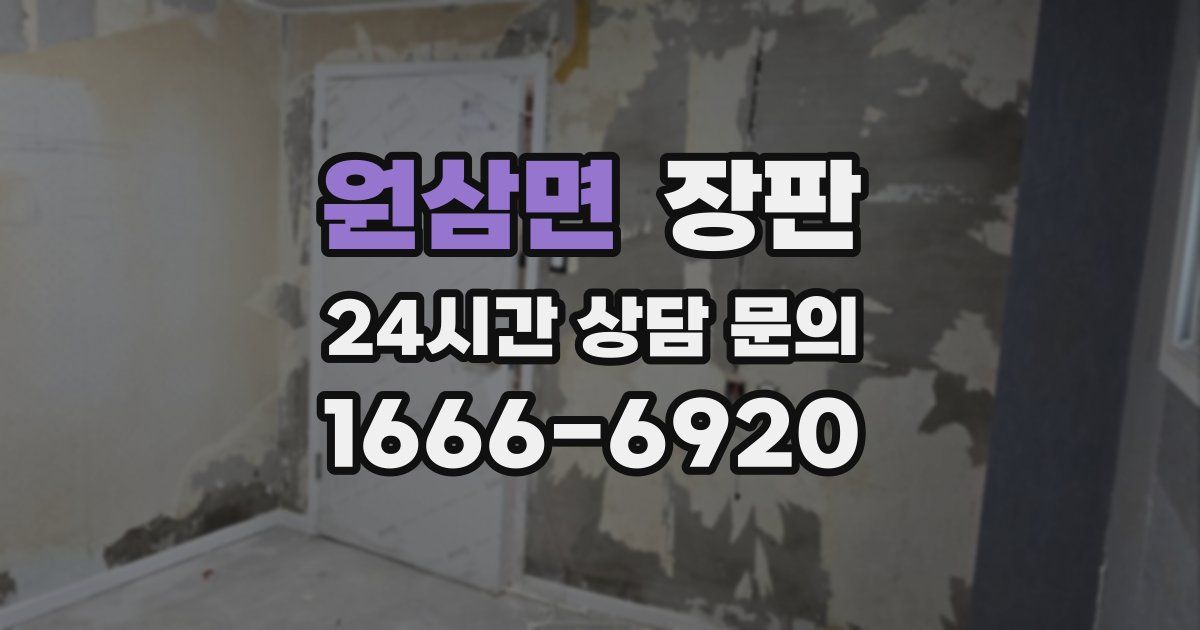 원삼면 장판