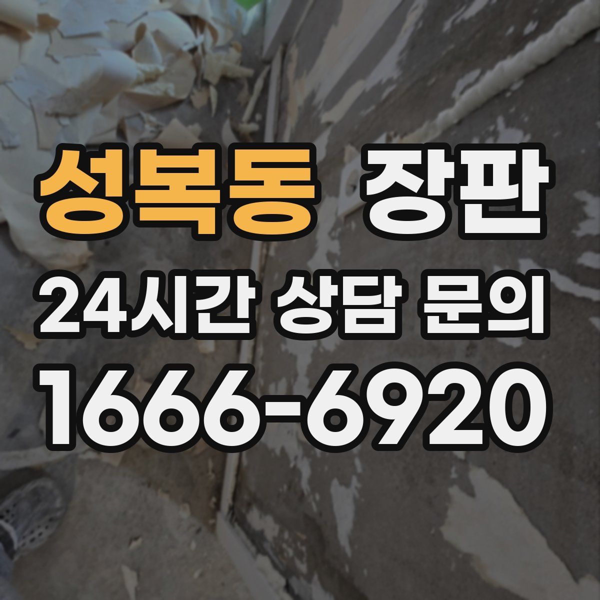 성복동 장판