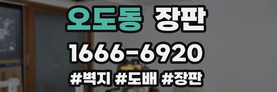 오도동 장판