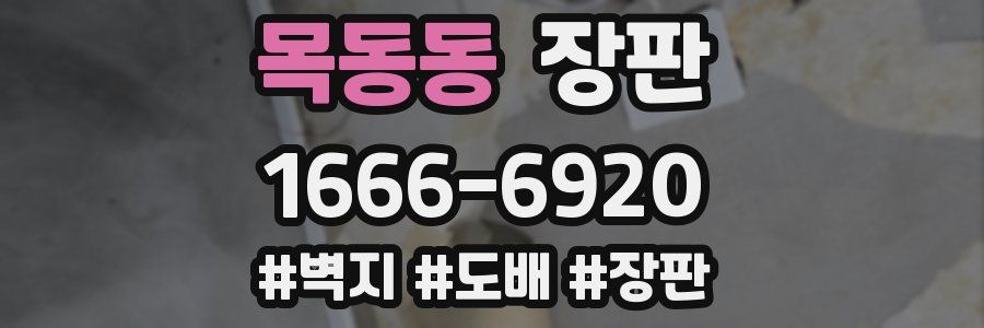 목동동 장판