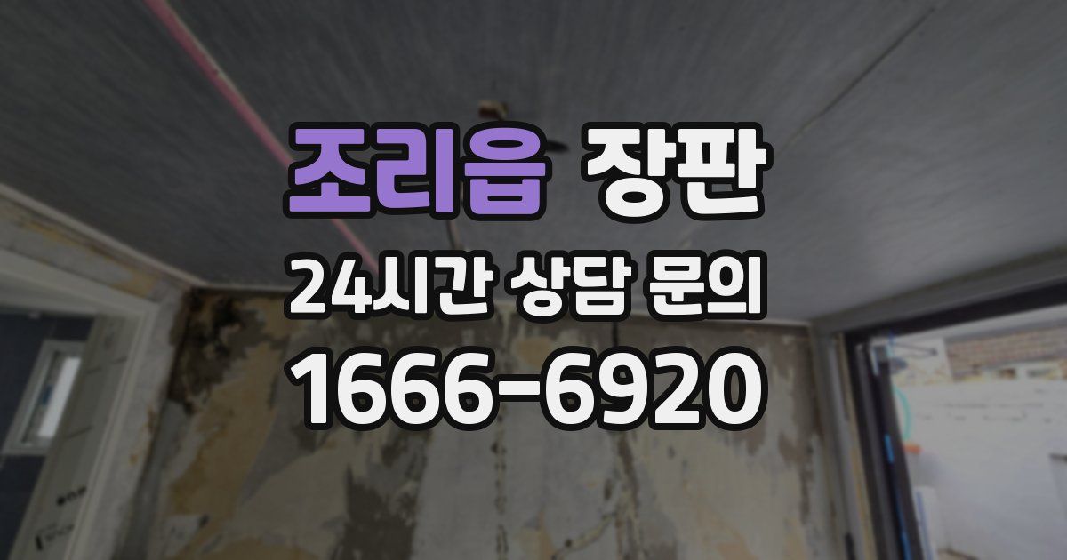 조리읍 장판