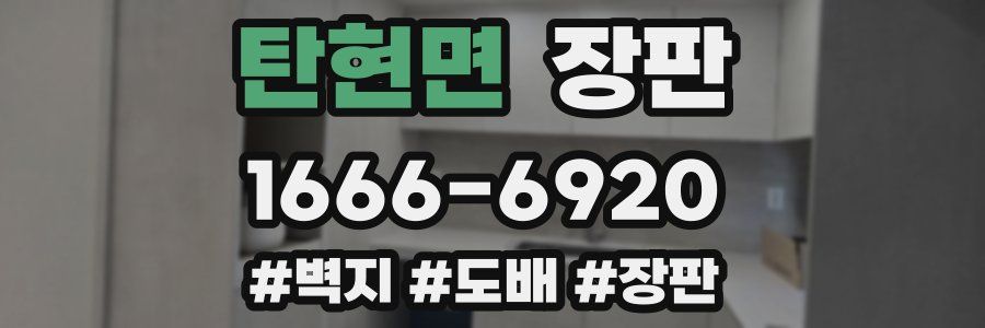 탄현면 장판