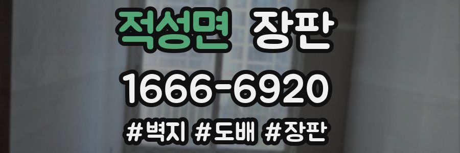적성면 장판