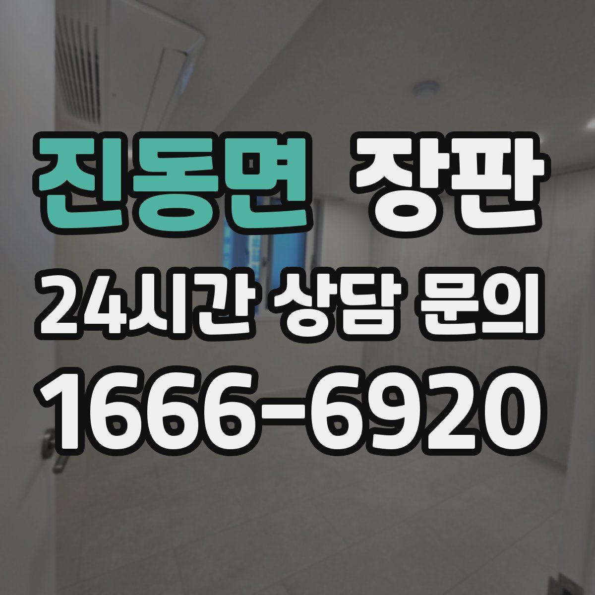 진동면 장판