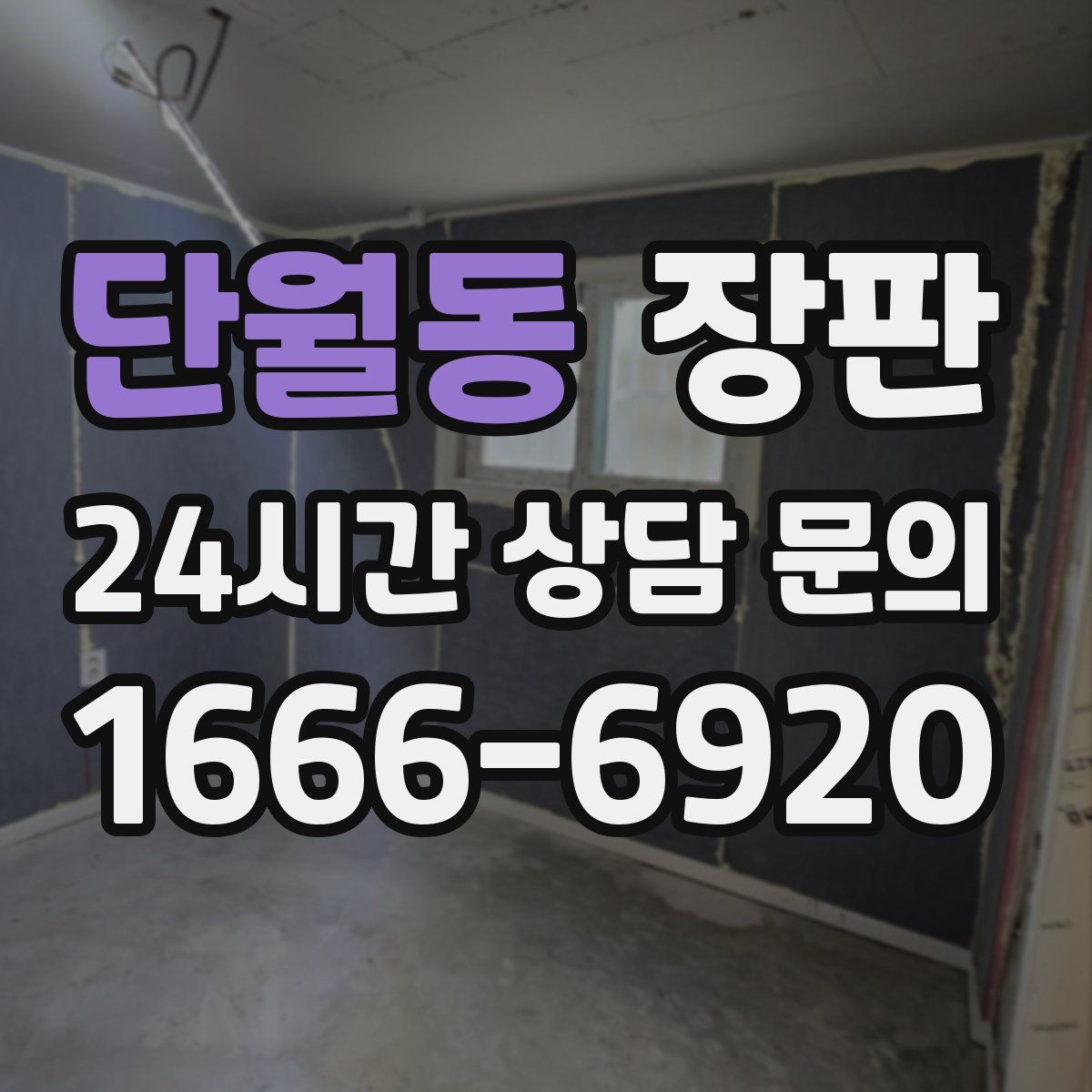 단월동 장판