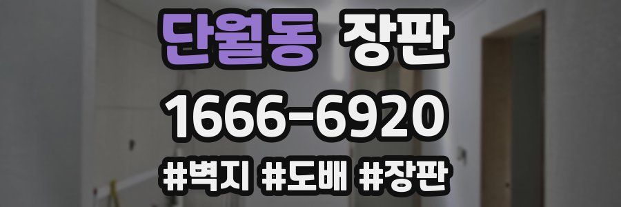 단월동 장판