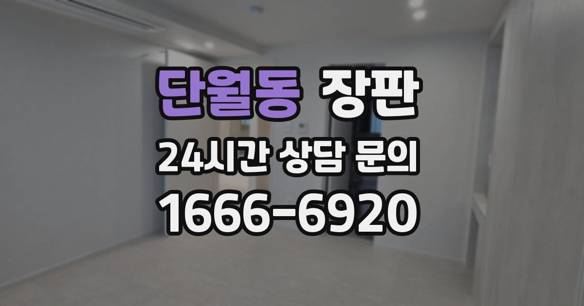 단월동 장판