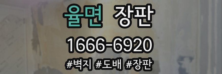 율면 장판