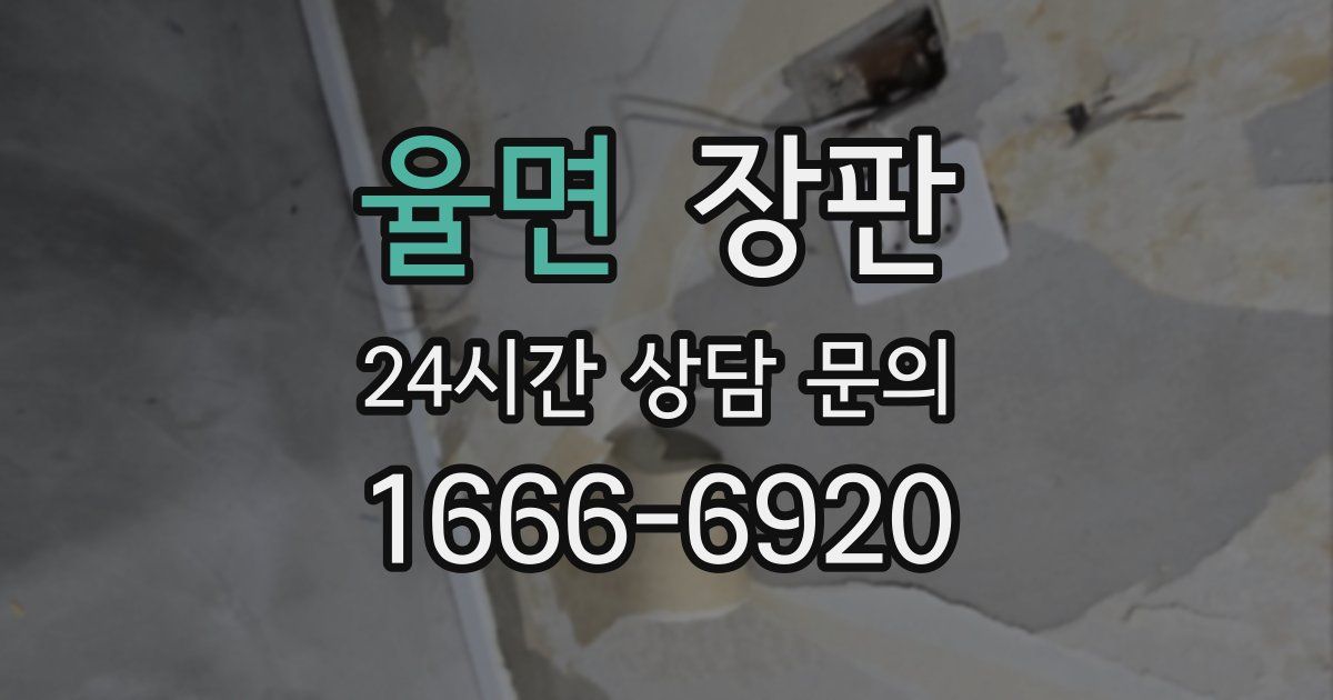 율면 장판