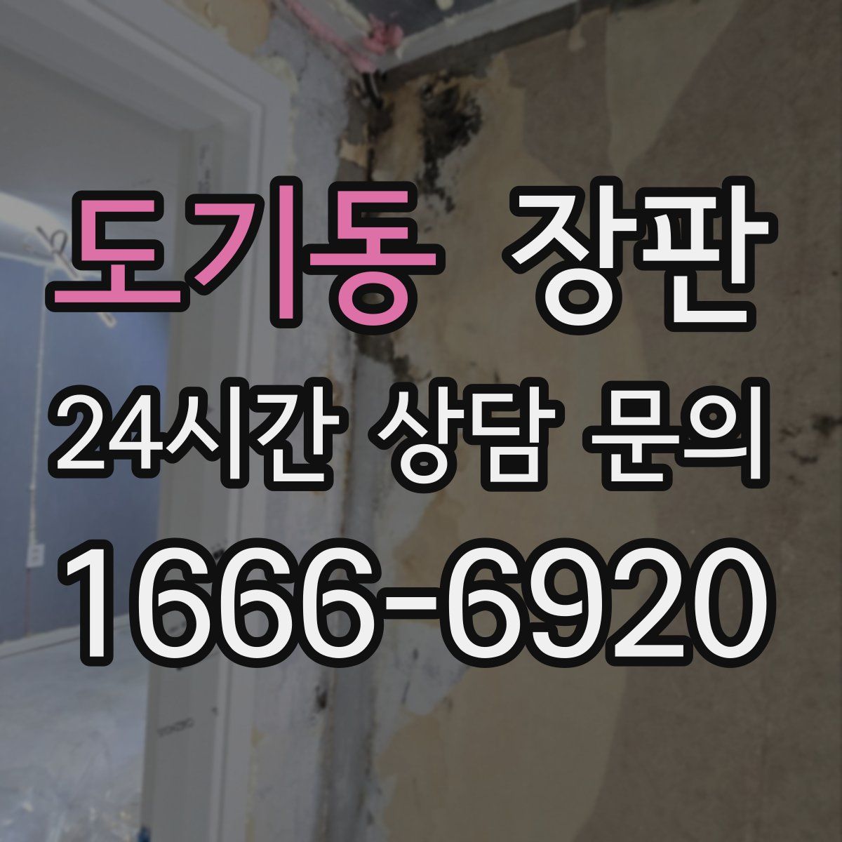 도기동 장판