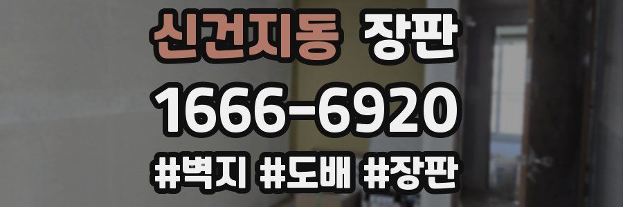 신건지동 장판