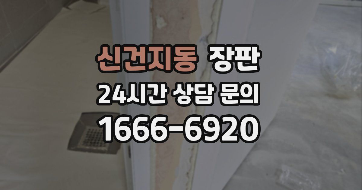 신건지동 장판