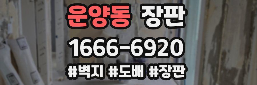 운양동 장판