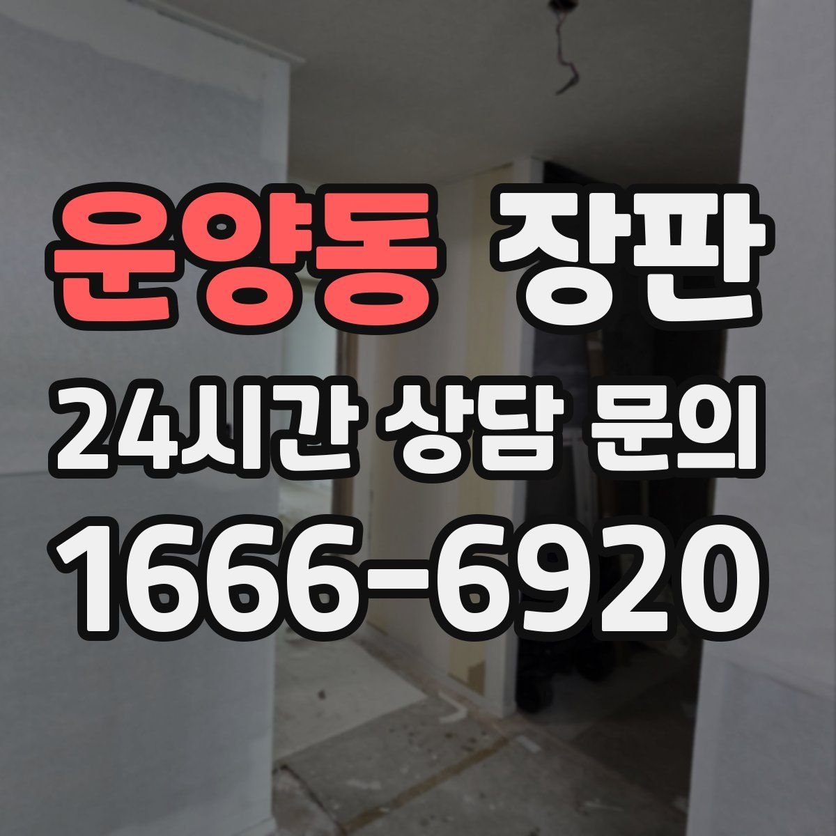 운양동 장판