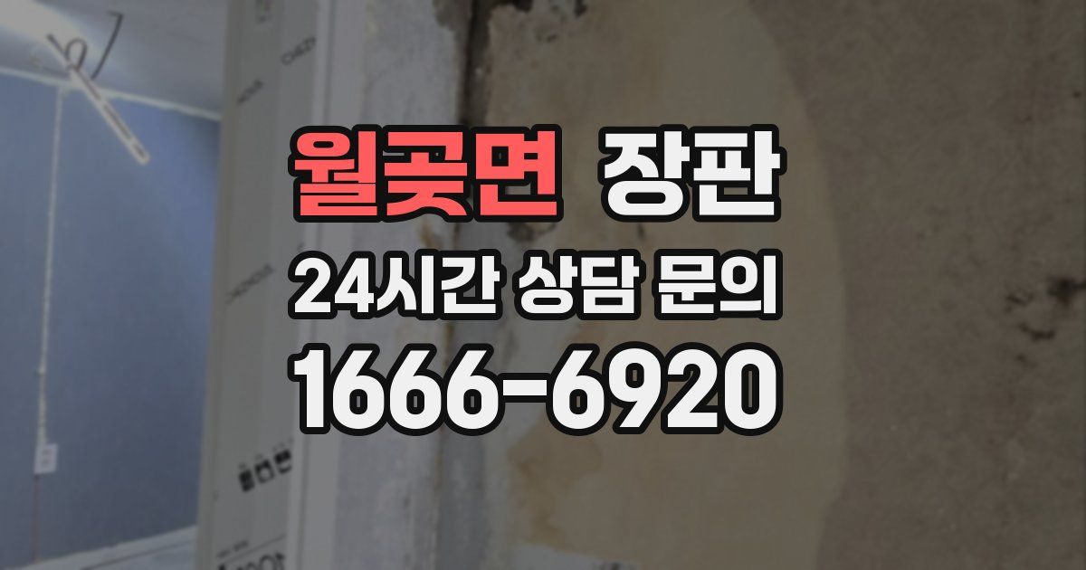 월곶면 장판