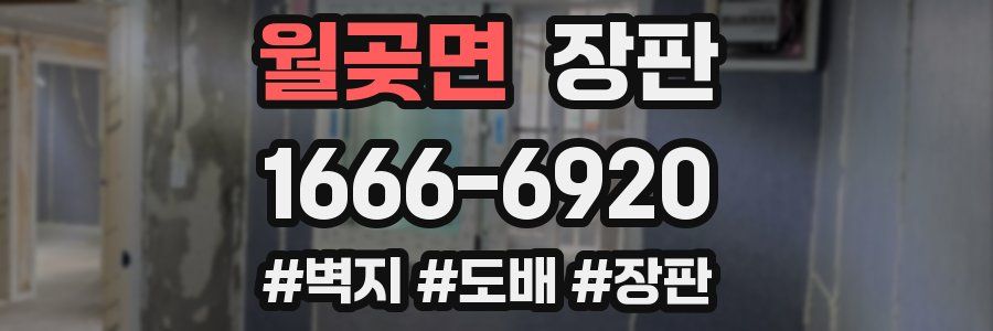 월곶면 장판