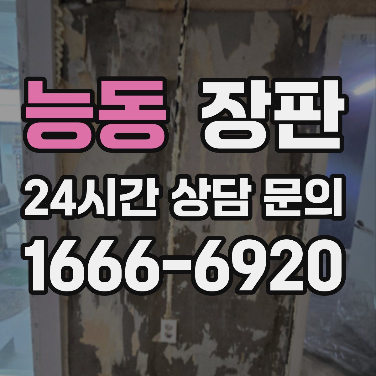 능동 장판