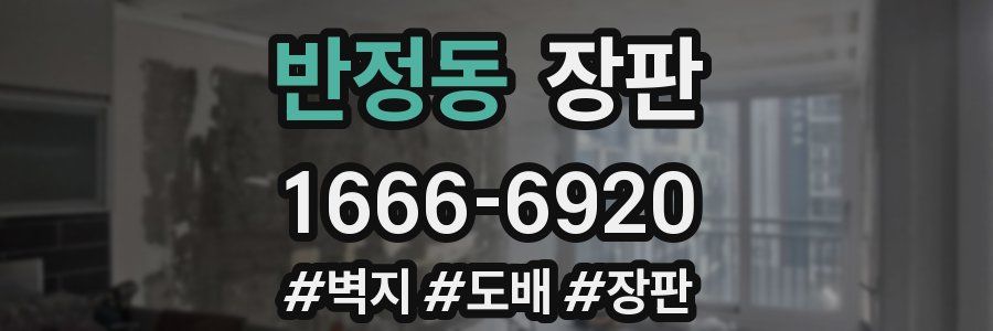 반정동 장판