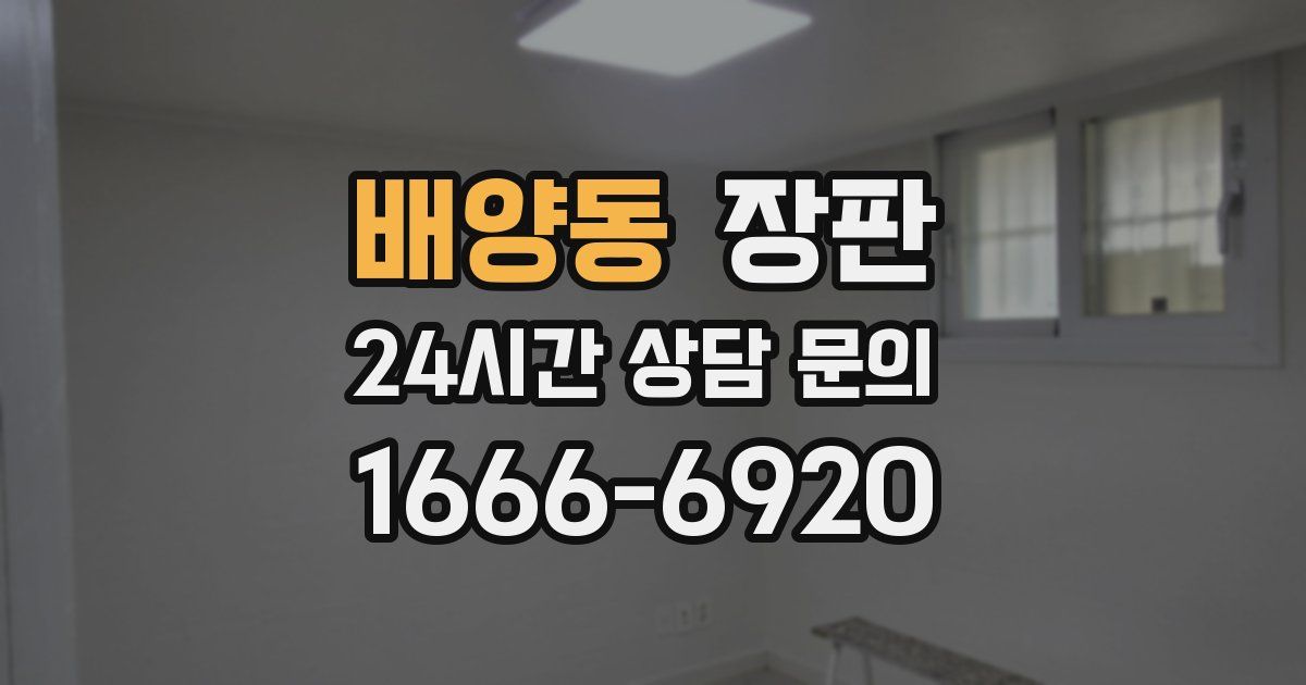 배양동 장판