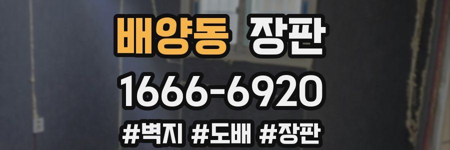 배양동 장판