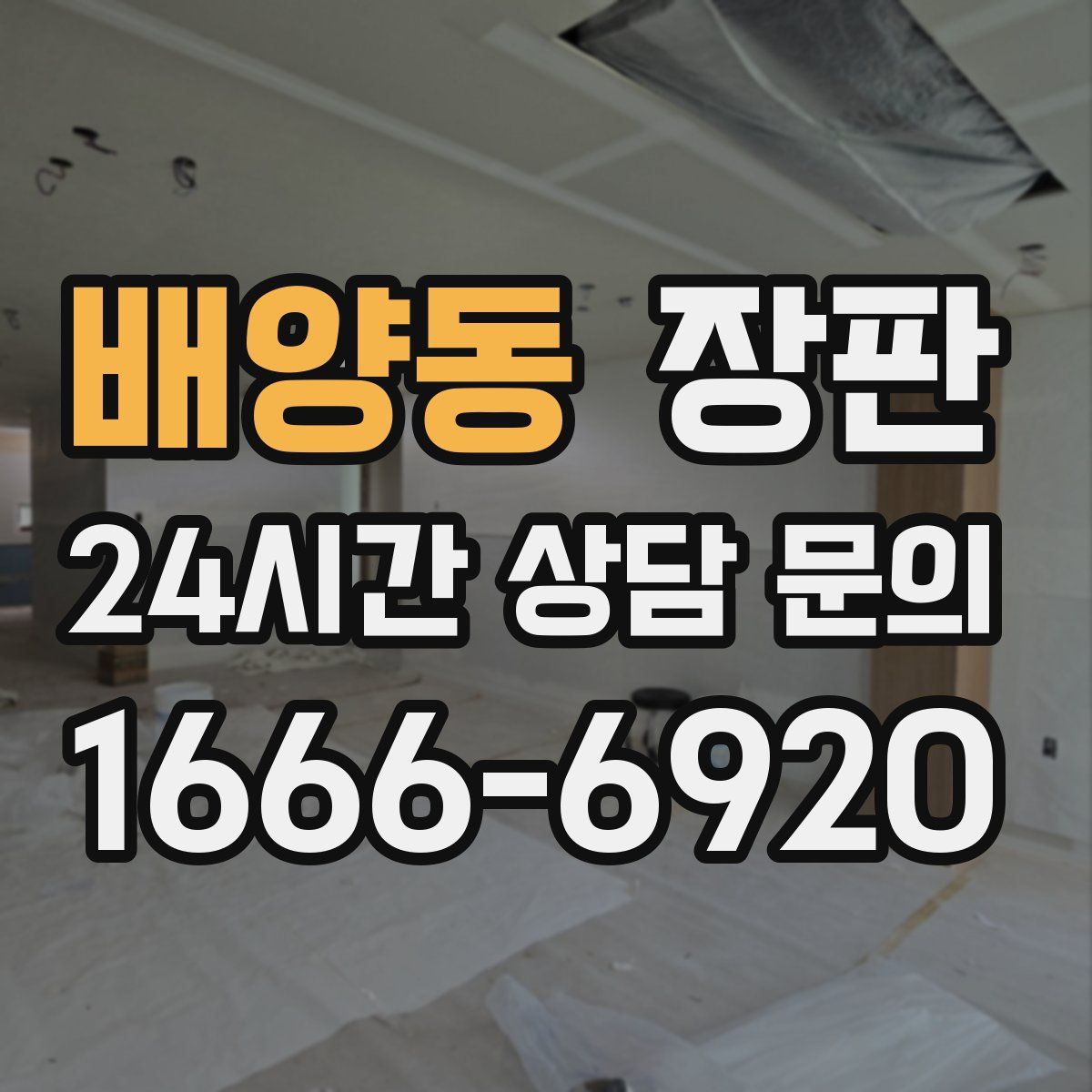 배양동 장판