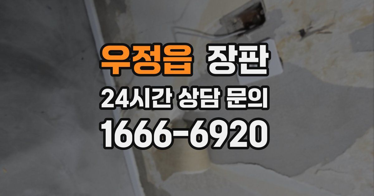 우정읍 장판