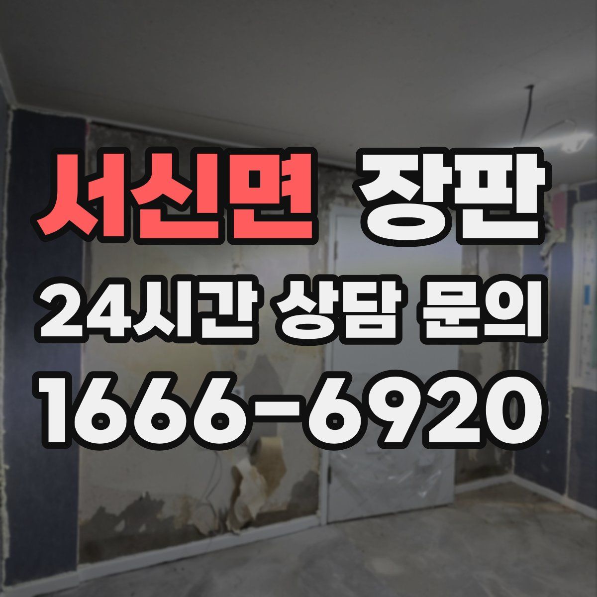 서신면 장판