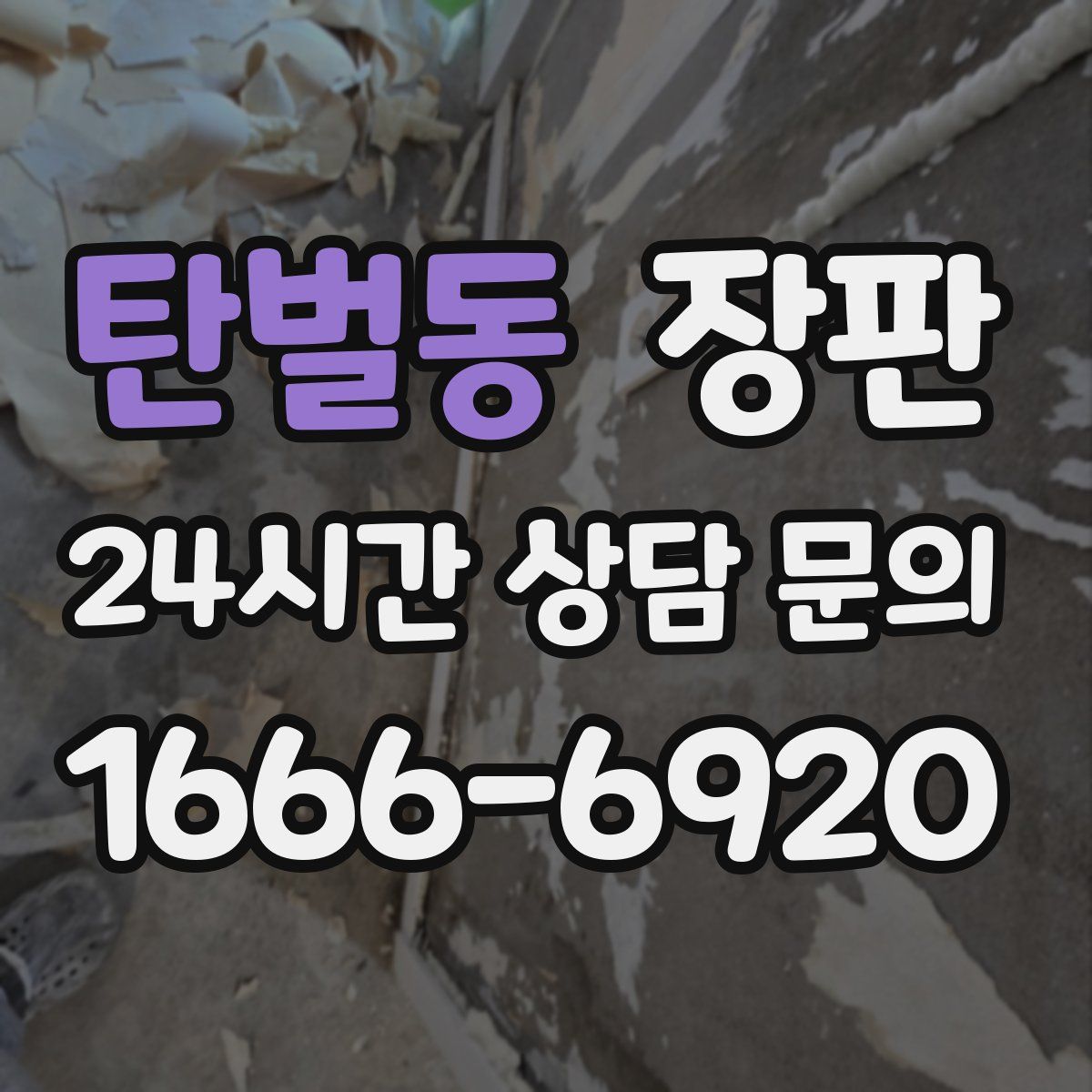 탄벌동 장판