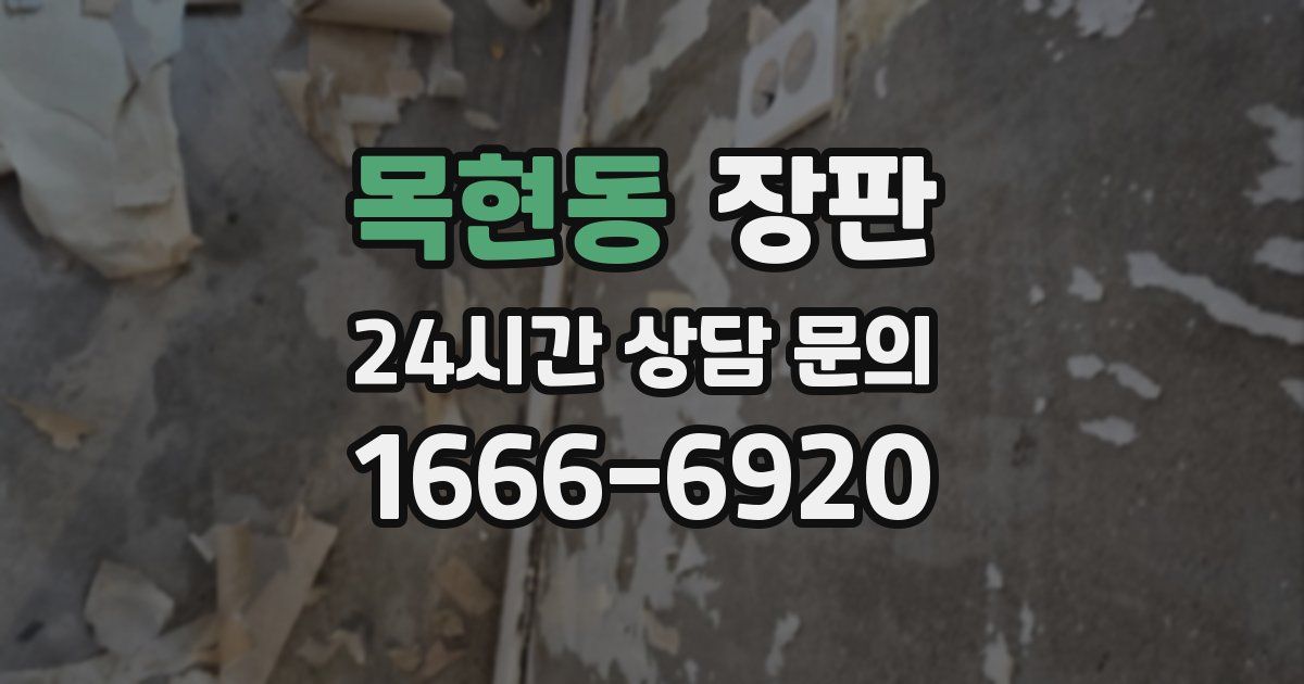 목현동 장판