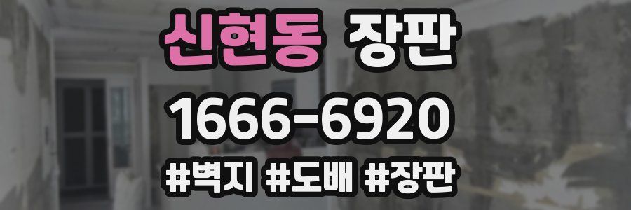 신현동 장판