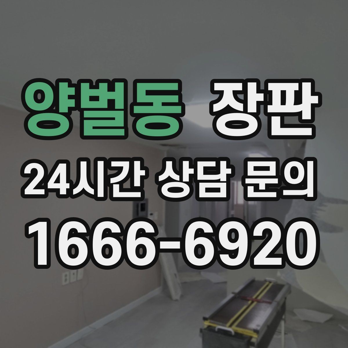 양벌동 장판 반려동물과 함께 쓸 때 유의점