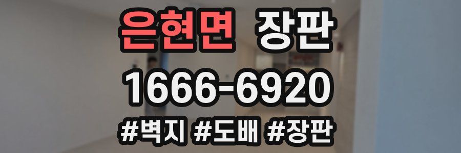은현면 장판