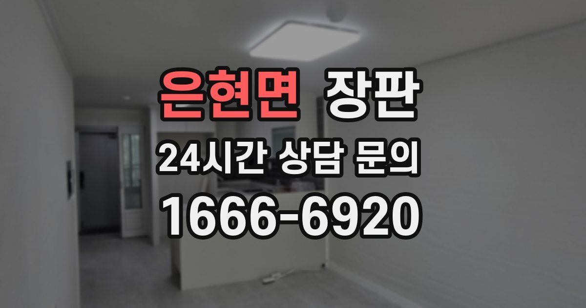 은현면 장판