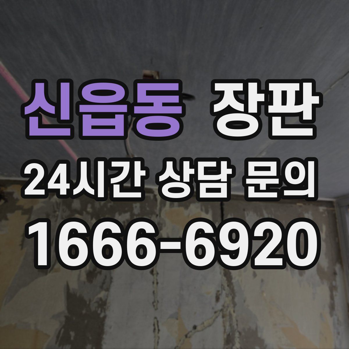 신읍동 장판