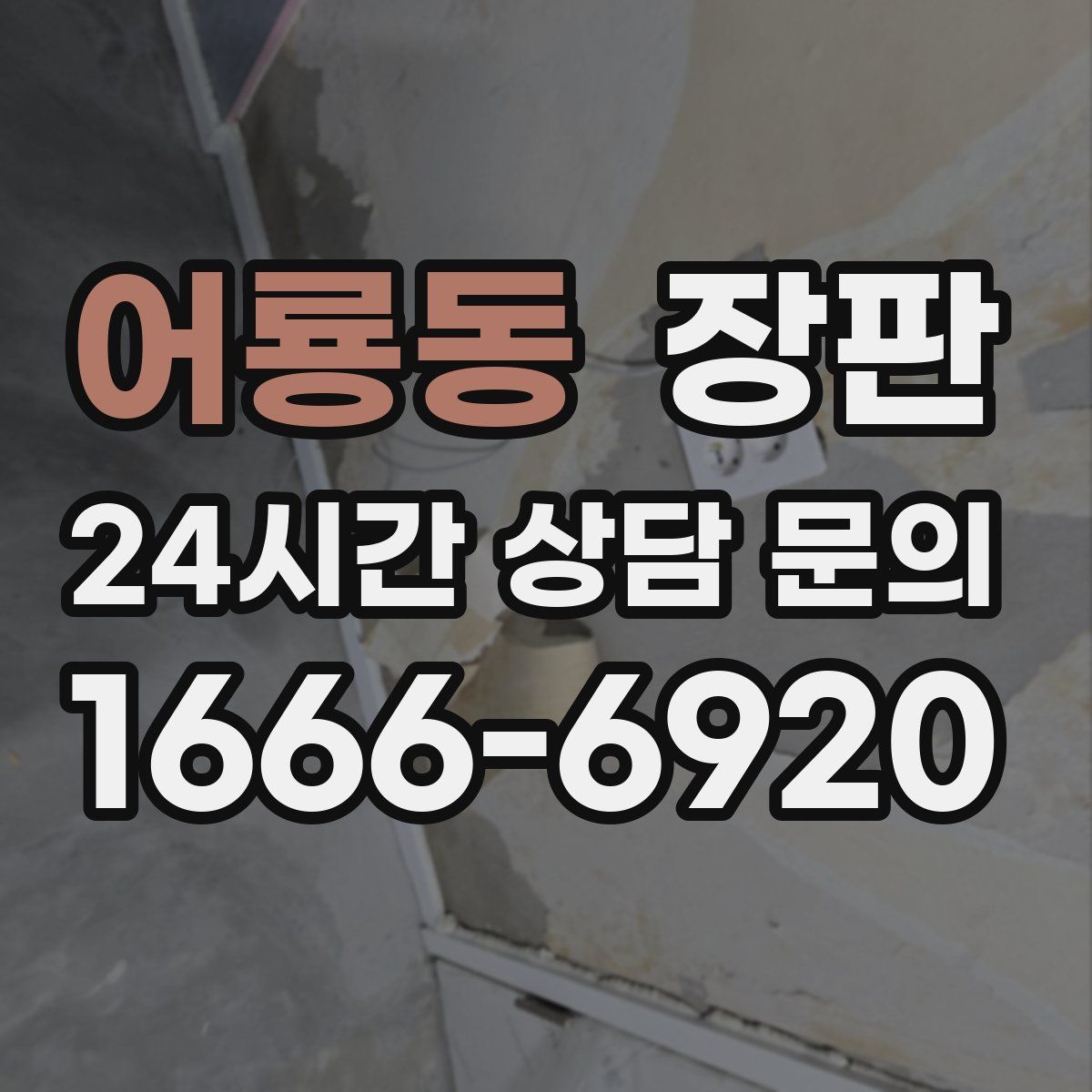 어룡동 장판