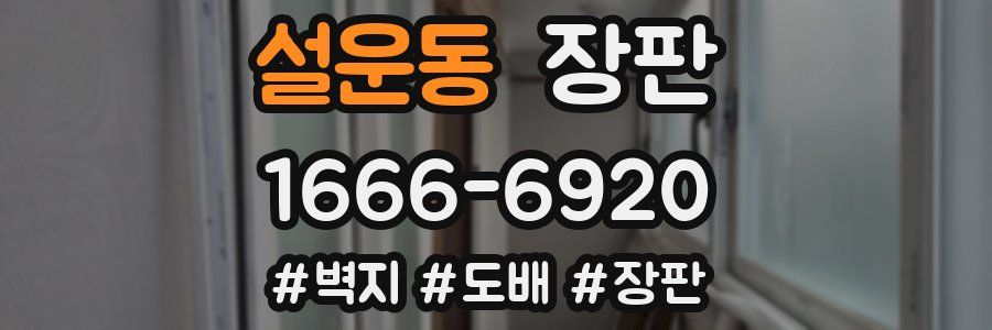 설운동 장판
