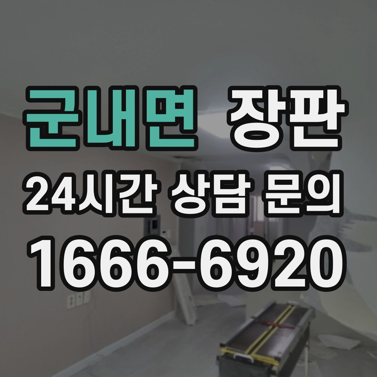 군내면 장판