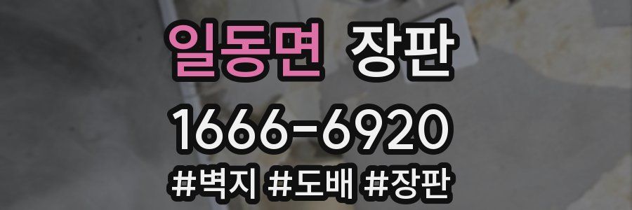 일동면 장판