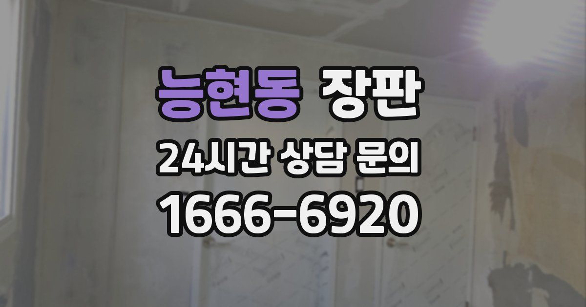 능현동 장판