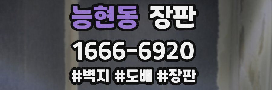 능현동 장판