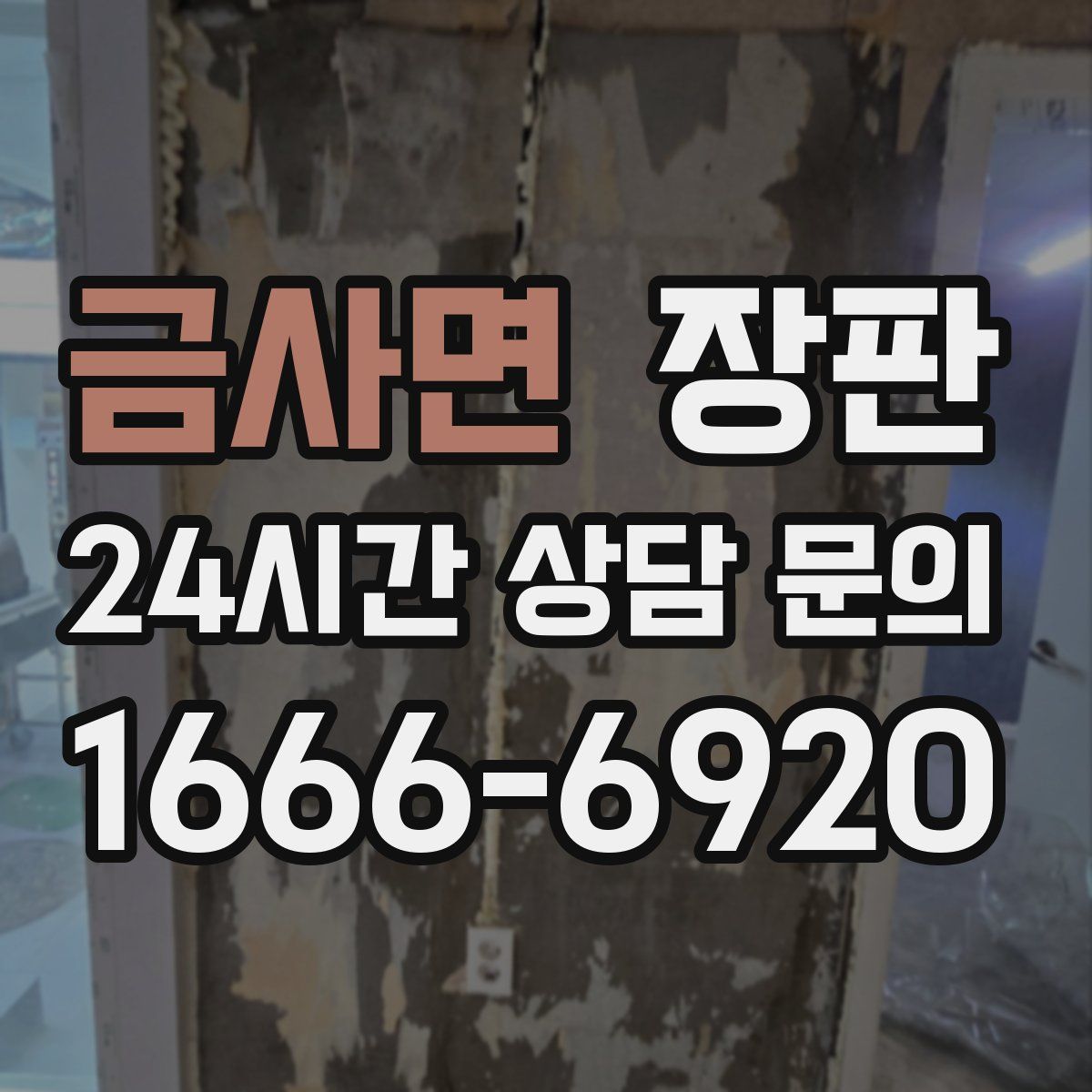 금사면 장판