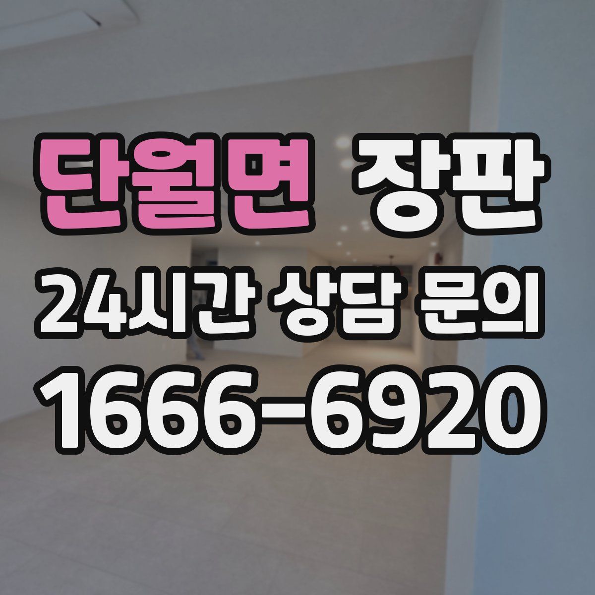 단월면 장판