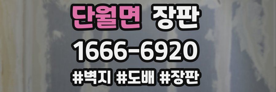 단월면 장판