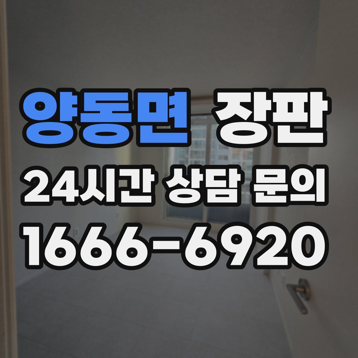 양동면 장판