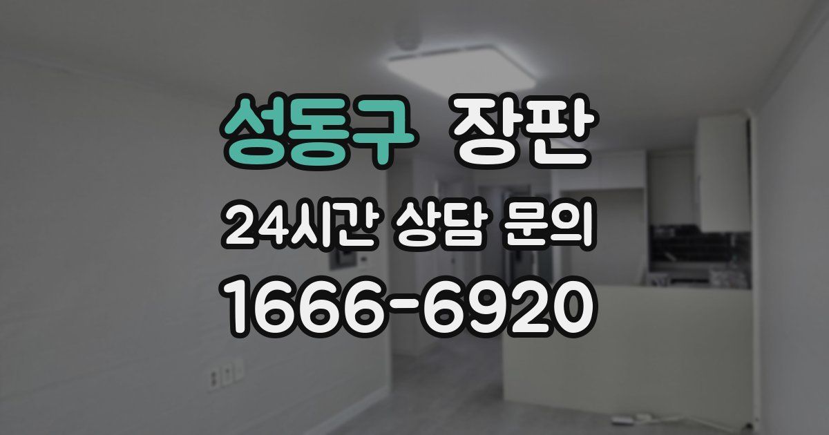 성동구 장판