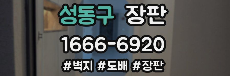 성동구 장판